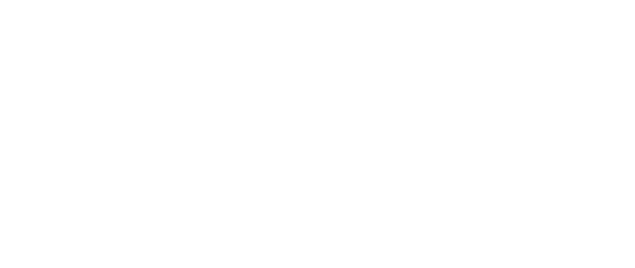 Ship Wrek logo