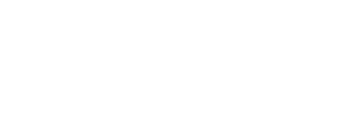 MC4D logo