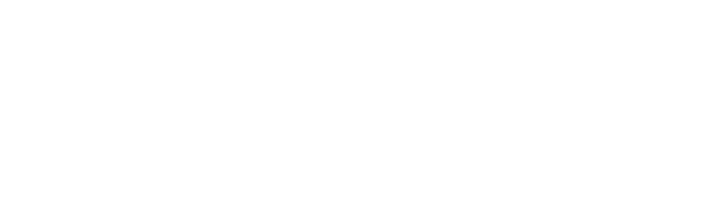 TØWEN logo