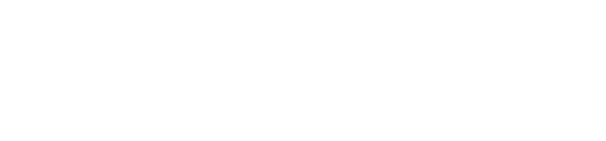 ZANDR logo